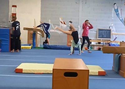 Amicale Fertoise Gymnastique